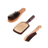 Essential Brush Set