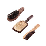 Essential Brush Set